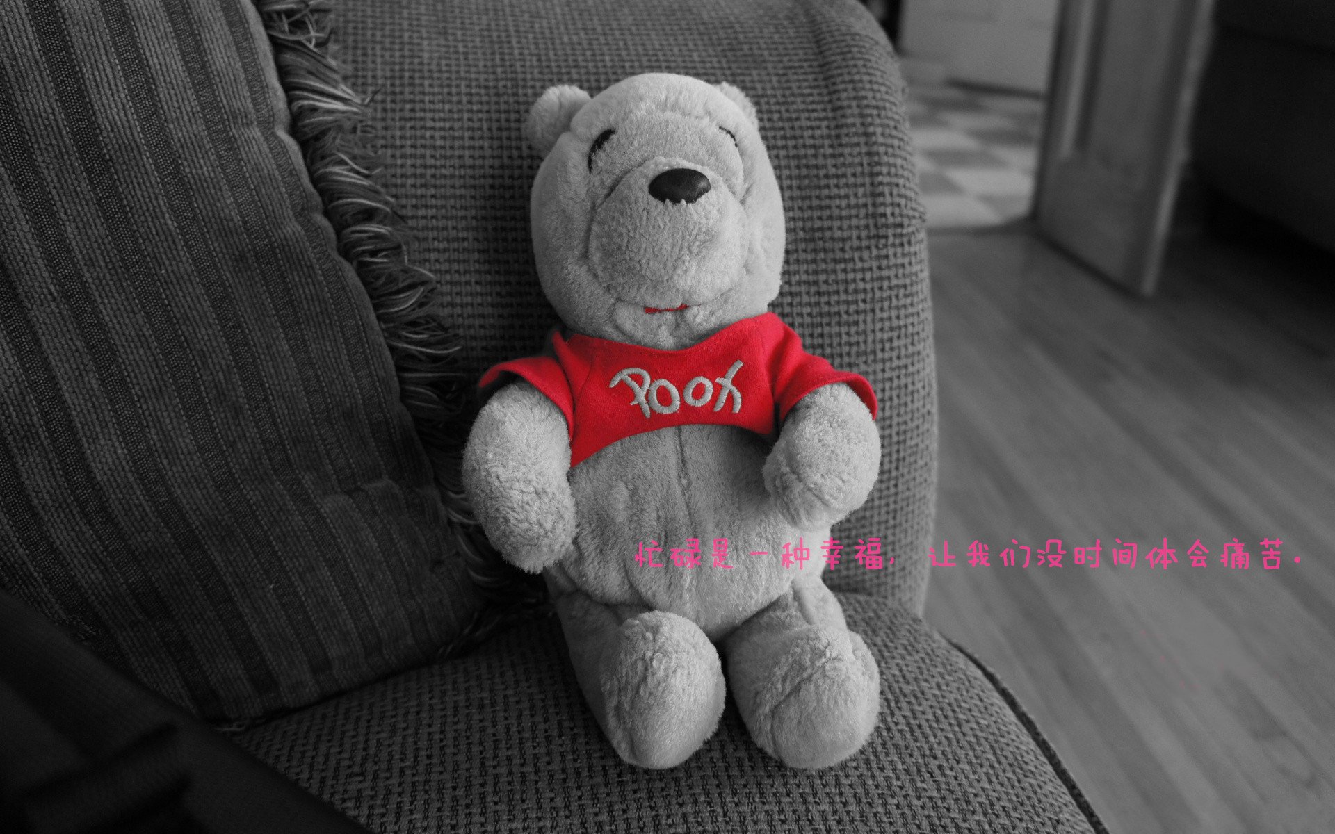 新熔炉的化学反应，布克内敛王牌助力热火冲垮上海队