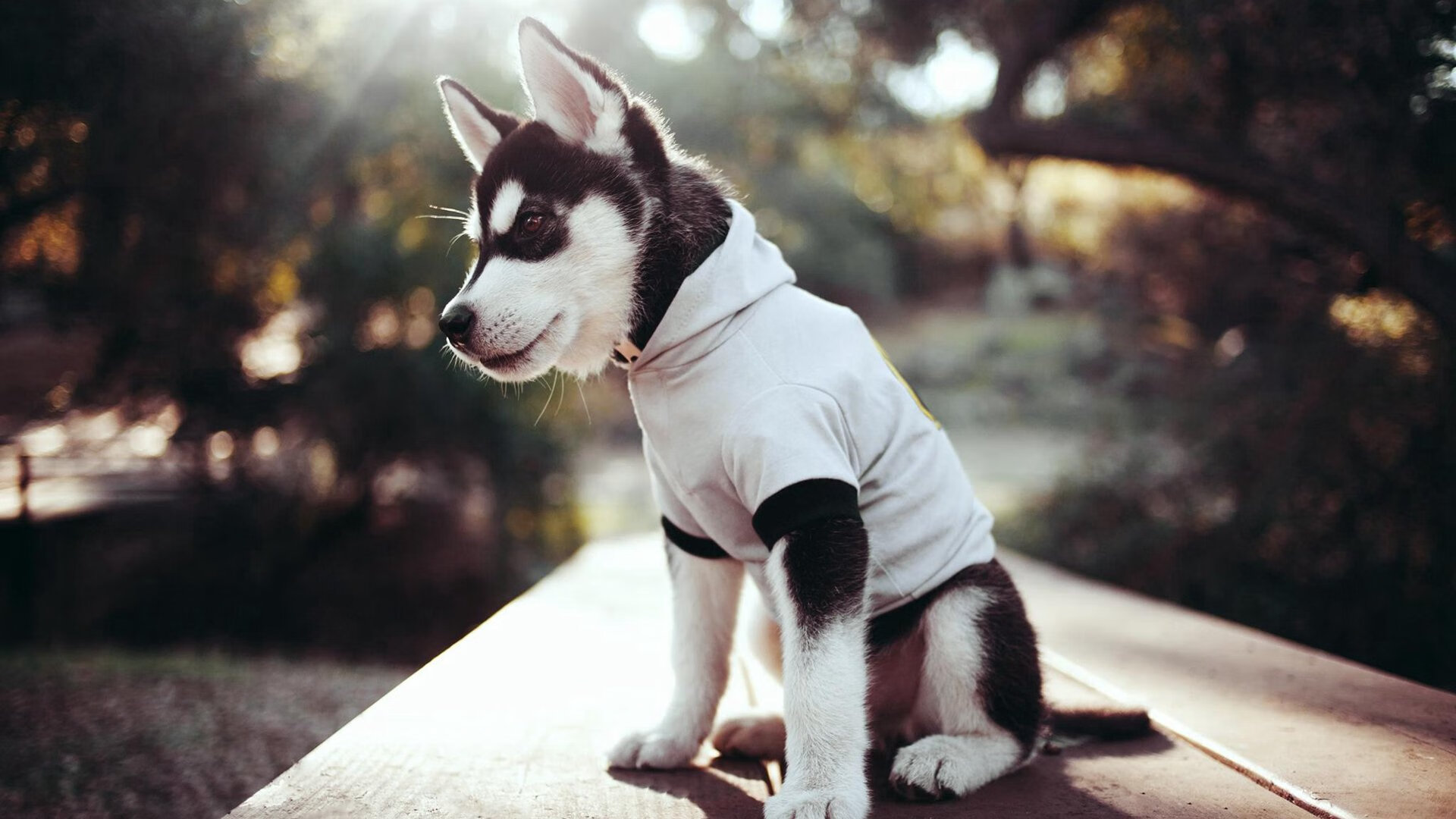 当西方铁壁遇见东方利刃,久保建英在比墨战术迷宫中劈开唯一通道